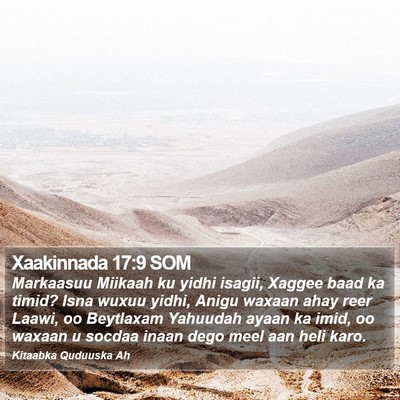 Xaakinnada 17:9 SOM Bible Verse Image