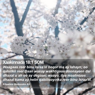 Xaakinnada 18:1 SOM Bible Verse Image