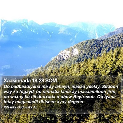 Xaakinnada 18:28 SOM Bible Verse Image