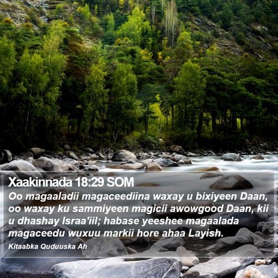 Xaakinnada 18:29 SOM Bible Verse Image
