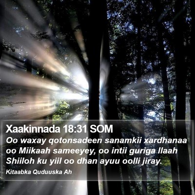 Xaakinnada 18:31 SOM Bible Verse Image