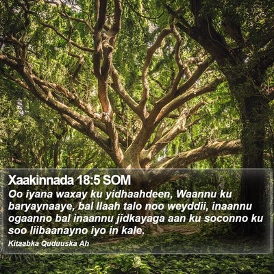 Xaakinnada 18:5 SOM Bible Verse Image