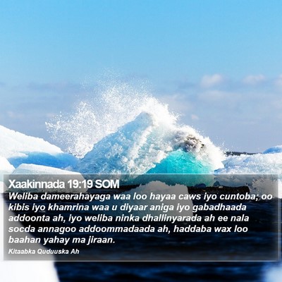 Xaakinnada 19:19 SOM Bible Verse Image