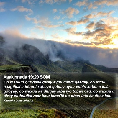 Xaakinnada 19:29 SOM Bible Verse Image