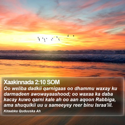 Xaakinnada 2:10 SOM Bible Verse Image