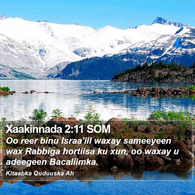 Xaakinnada 2:11 SOM Bible Verse Image