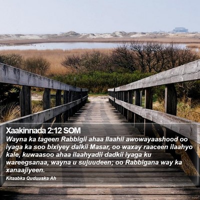 Xaakinnada 2:12 SOM Bible Verse Image