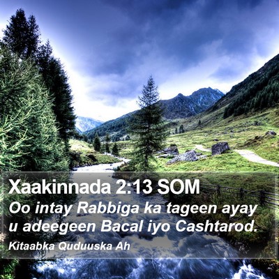 Xaakinnada 2:13 SOM Bible Verse Image
