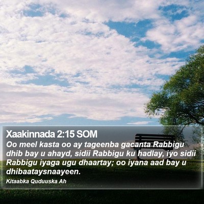 Xaakinnada 2:15 SOM Bible Verse Image