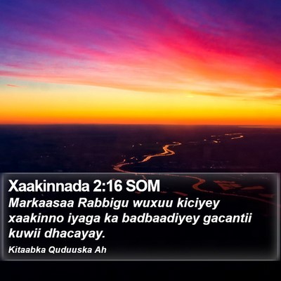 Xaakinnada 2:16 SOM Bible Verse Image