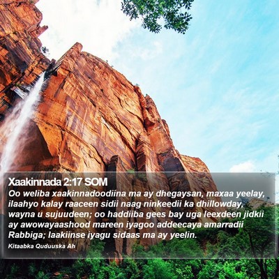 Xaakinnada 2:17 SOM Bible Verse Image