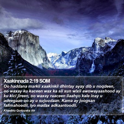 Xaakinnada 2:19 SOM Bible Verse Image