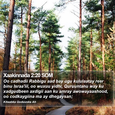 Xaakinnada 2:20 SOM Bible Verse Image