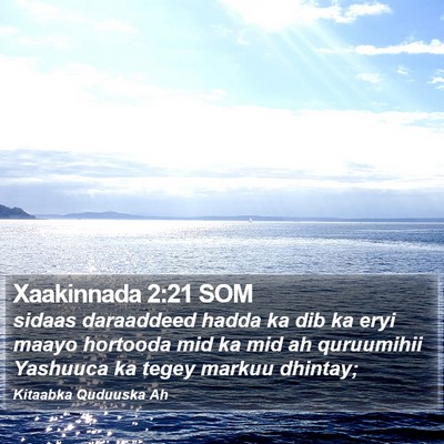 Xaakinnada 2:21 SOM Bible Verse Image