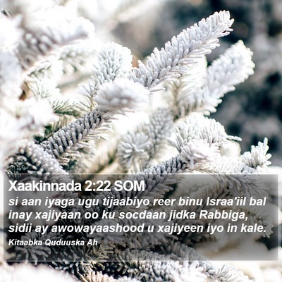Xaakinnada 2:22 SOM Bible Verse Image