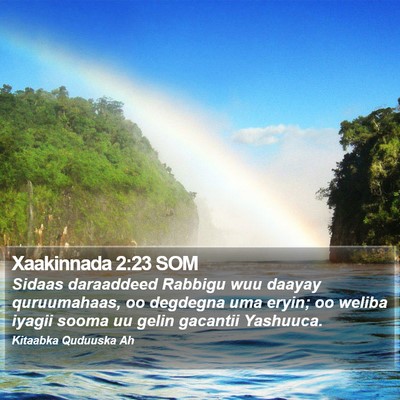 Xaakinnada 2:23 SOM Bible Verse Image
