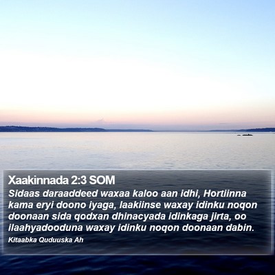 Xaakinnada 2:3 SOM Bible Verse Image