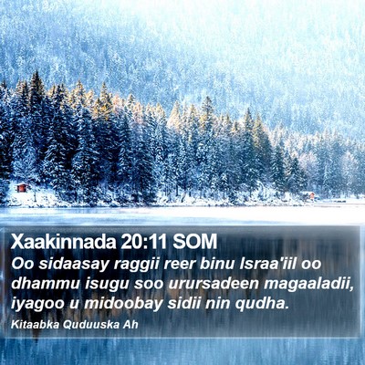 Xaakinnada 20:11 SOM Bible Verse Image