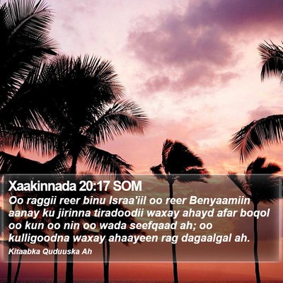 Xaakinnada 20:17 SOM Bible Verse Image