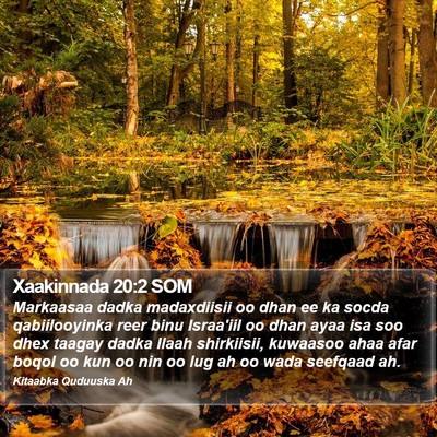 Xaakinnada 20:2 SOM Bible Verse Image