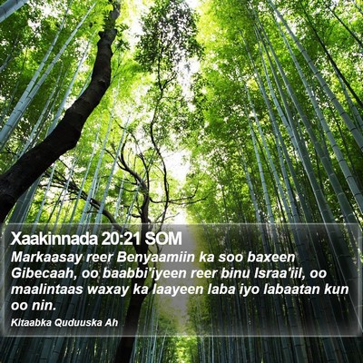 Xaakinnada 20:21 SOM Bible Verse Image