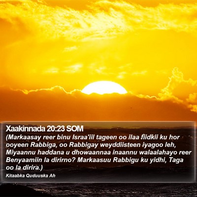 Xaakinnada 20:23 SOM Bible Verse Image
