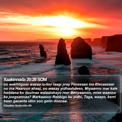 Xaakinnada 20:28 SOM Bible Verse Image