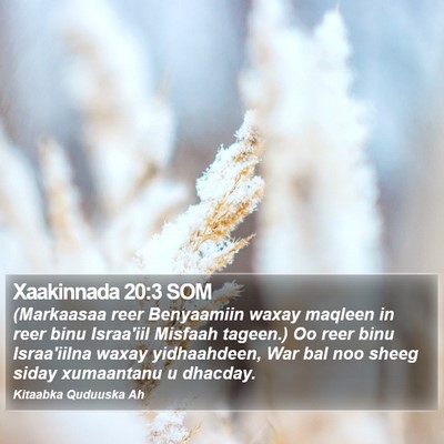 Xaakinnada 20:3 SOM Bible Verse Image