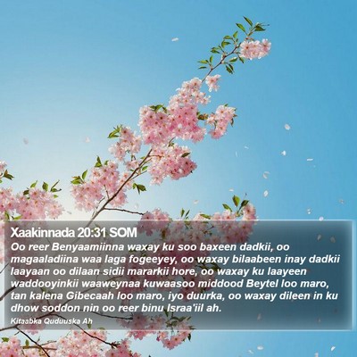 Xaakinnada 20:31 SOM Bible Verse Image