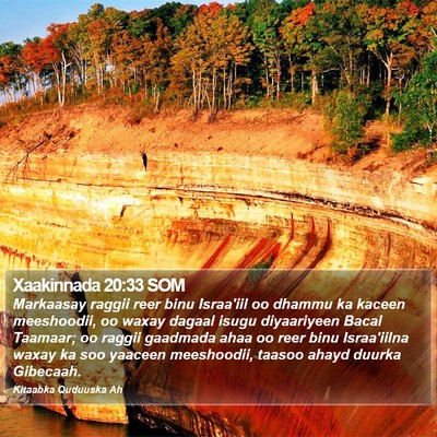 Xaakinnada 20:33 SOM Bible Verse Image