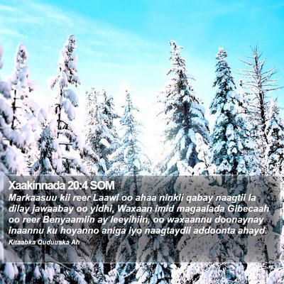 Xaakinnada 20:4 SOM Bible Verse Image