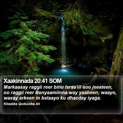 Xaakinnada 20:41 SOM Bible Verse Image