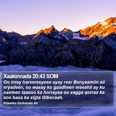 Xaakinnada 20:43 SOM Bible Verse Image