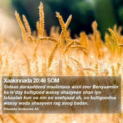 Xaakinnada 20:46 SOM Bible Verse Image