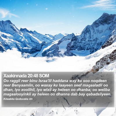 Xaakinnada 20:48 SOM Bible Verse Image