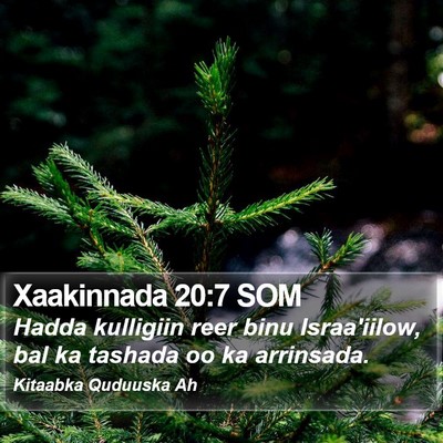 Xaakinnada 20:7 SOM Bible Verse Image