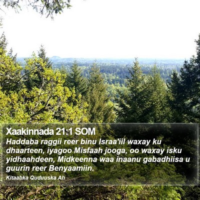 Xaakinnada 21:1 SOM Bible Verse Image