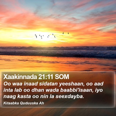 Xaakinnada 21:11 SOM Bible Verse Image