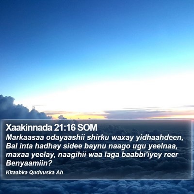 Xaakinnada 21:16 SOM Bible Verse Image