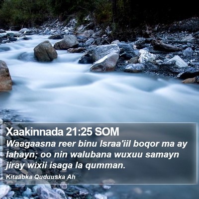 Xaakinnada 21:25 SOM Bible Verse Image