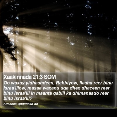 Xaakinnada 21:3 SOM Bible Verse Image
