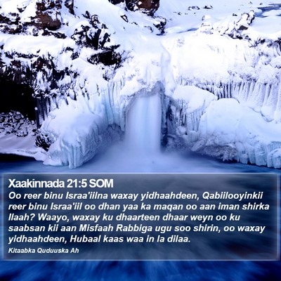 Xaakinnada 21:5 SOM Bible Verse Image