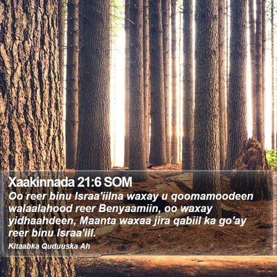 Xaakinnada 21:6 SOM Bible Verse Image