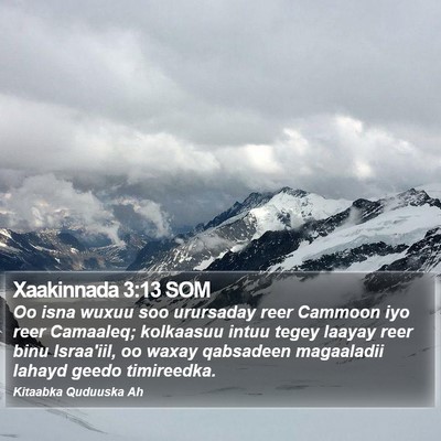 Xaakinnada 3:13 SOM Bible Verse Image