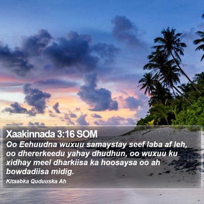 Xaakinnada 3:16 SOM Bible Verse Image