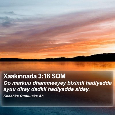 Xaakinnada 3:18 SOM Bible Verse Image