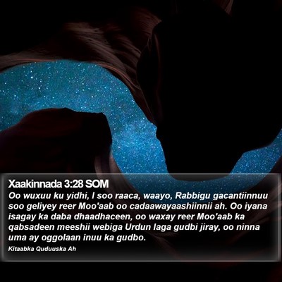 Xaakinnada 3:28 SOM Bible Verse Image