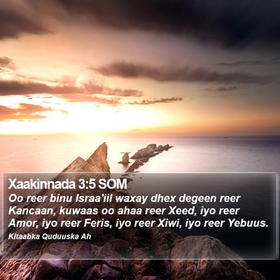 Xaakinnada 3:5 SOM Bible Verse Image