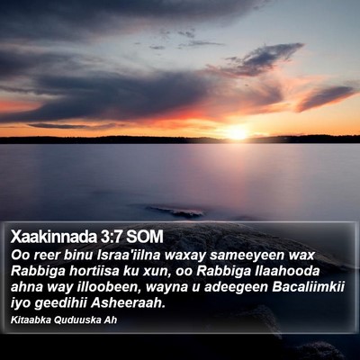 Xaakinnada 3:7 SOM Bible Verse Image