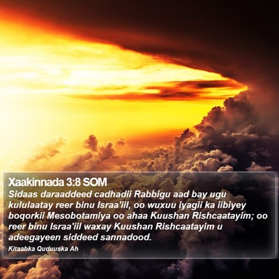 Xaakinnada 3:8 SOM Bible Verse Image